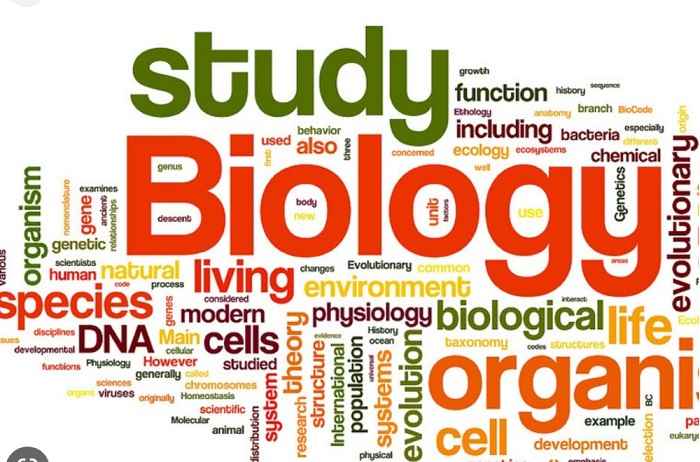 Biology - 050501